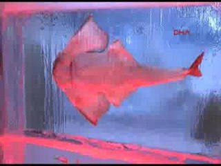 Türkiye'nin ilk buz heykel müzesi kuruluyor