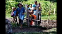 Campesinos  narran los desplazamientos  y la lucha por sus tierras  