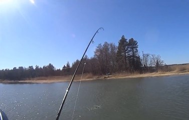 Tekneden Yapılan Turna Balığı Avı