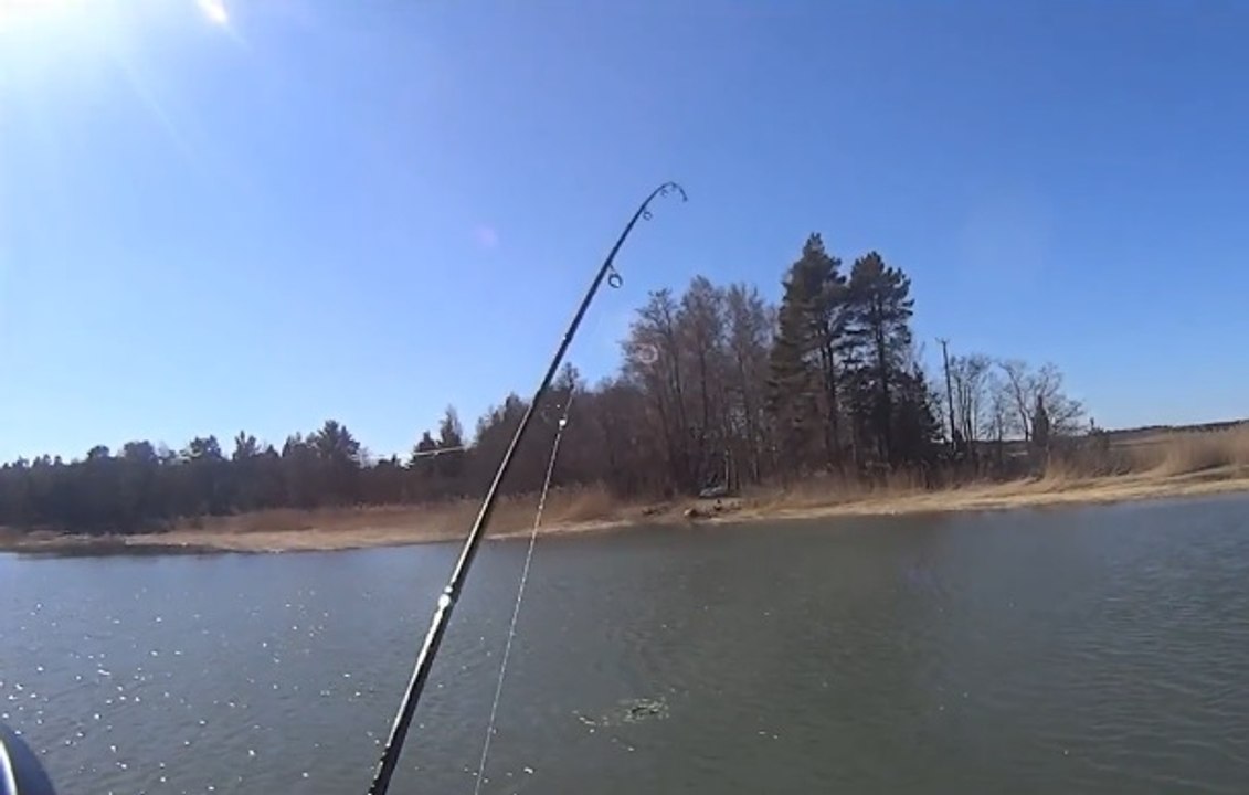 Tekneden Yapılan Turna Balığı Avı