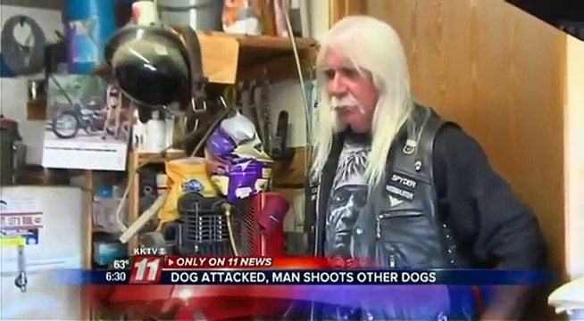 3 pit bulls attack german shepherd shot dead by responsible victim dog owner