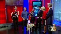 Cesar Millan Reveals What Your Dog is Trying to Tell You!