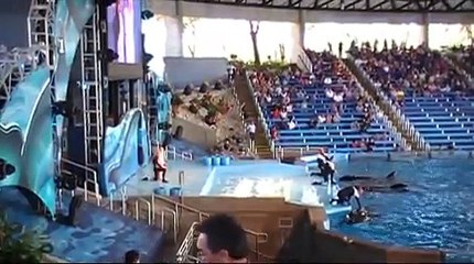 Sarah Brown of Forester Elementary gets on Shamu stage at Seaworld SA