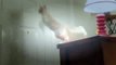 FUNNY VIDEOS: Funny Cats - Funny Cat Videos - Funny Animals - Fail Compilation - Cats Fail