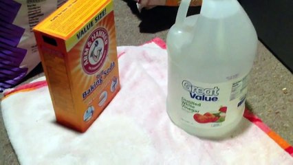 Killing feeder mice at home