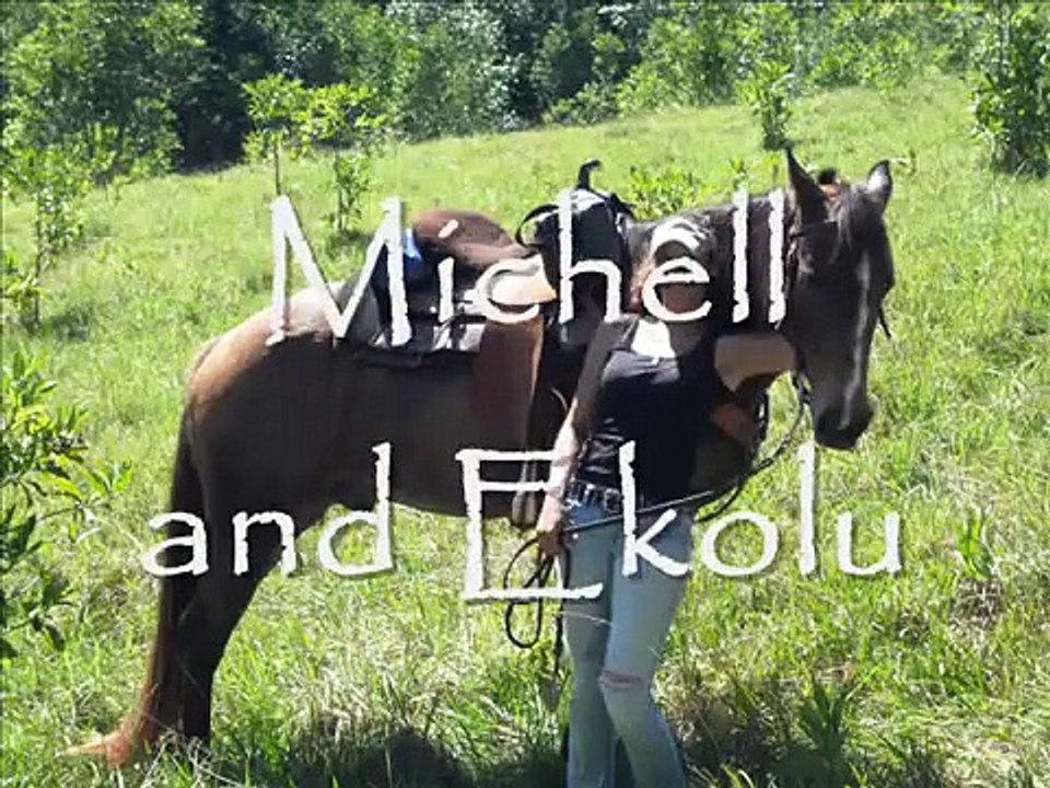 EXTREME Horseback riding!! Not so much...