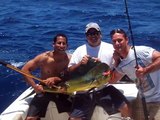 Spearfishing and Sea life.(slide show)