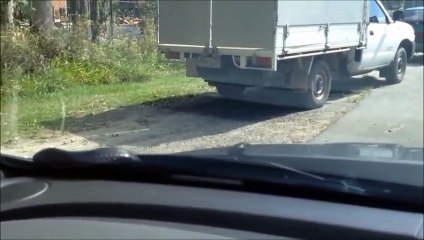 Venomous Red Bellied Black Snake on the Car Windscreen
