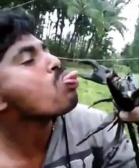 Stupidity At Its Finest