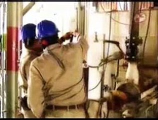 Brozo presenta a Felipe Calderón y sus mentiras de campaña