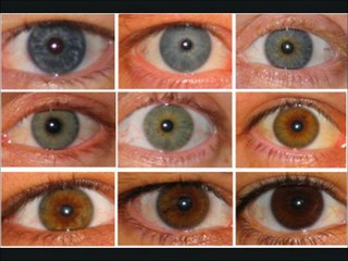 LA RAZA BLANCA {Color de Ojos & Color de Pelos} ¡¡¡ EXAMINANDO !!!