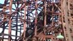 Psyclone Wooden Roller Coaster POV - Six Flags Magic Mountain