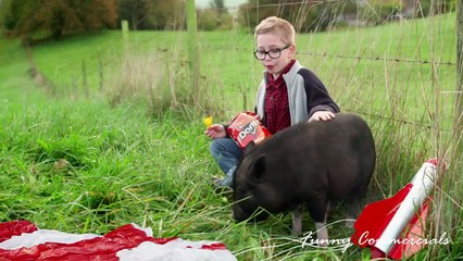 Top 10 The Best Doritos 'Crash the Super Bowl' commercials Finalists of 2015