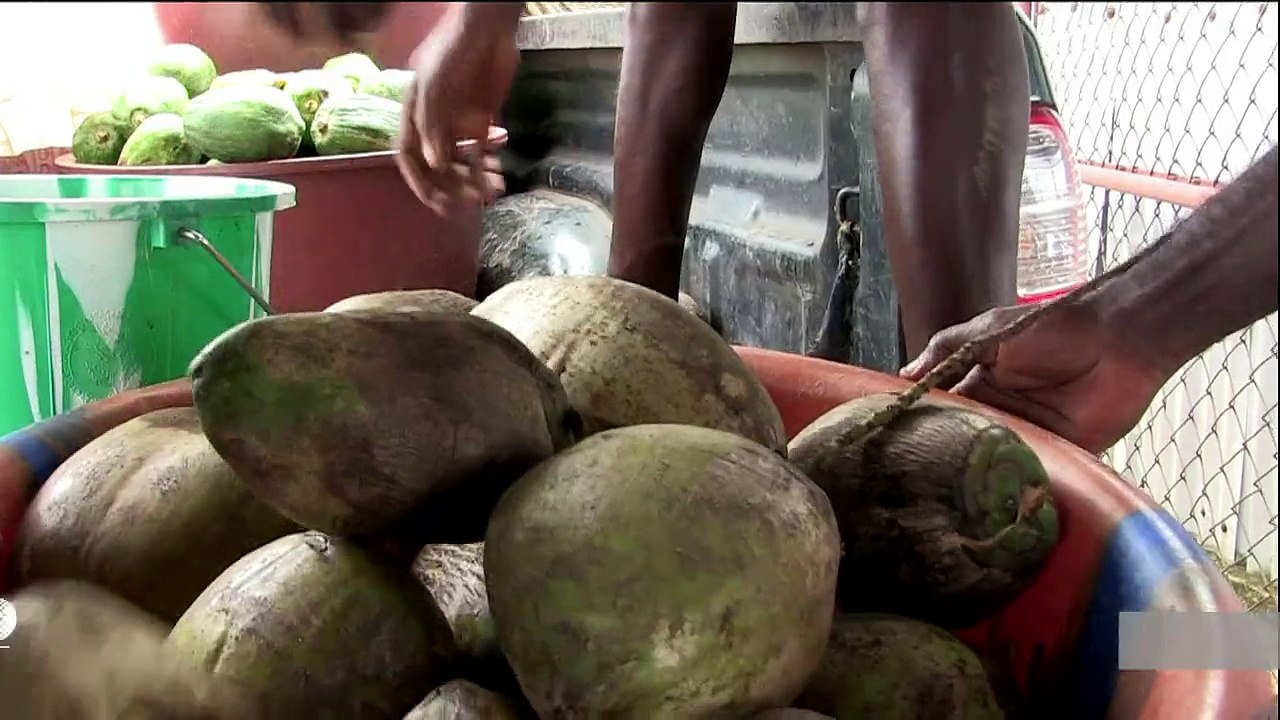 Liberia's 'Planet of the Apes' chimps facing starvation