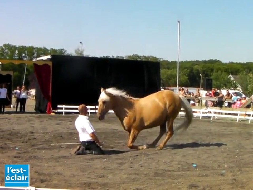 Chant'équi : spectacle de dressage équin à Briel-sur-Barse