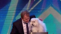 Britain's Got Talent 2015 | Marc Métral and his talking dog Wendy wow the judges | Audition Week 1