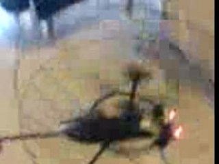 Mon Mosquito helicoptère