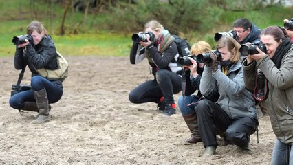 Workshop Paardenfotografie - Hypo Focus