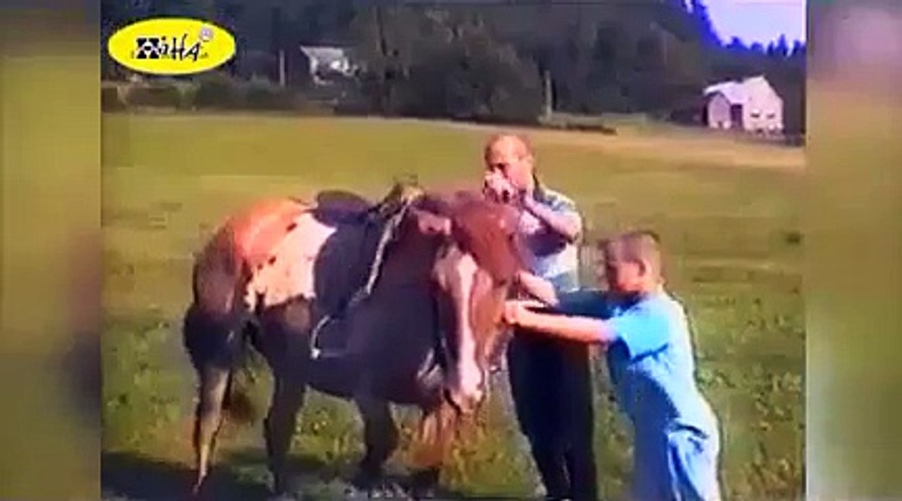 Funny Animal Videos - Funny Horse Bloopers : Best Fails of April 2015