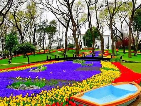 İstanbul'da - Zeynep Alasya