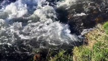 Rushing water in French Creek. Breckenridge, Colorado.