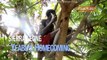 FRONTLINE/World | Sierra Leone: Yeabu's Homecoming | PBS