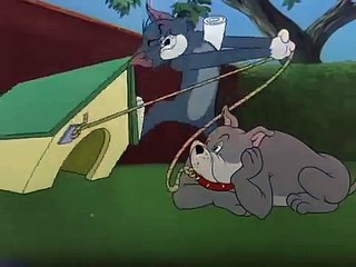 Tom and Jerry - Leash Law