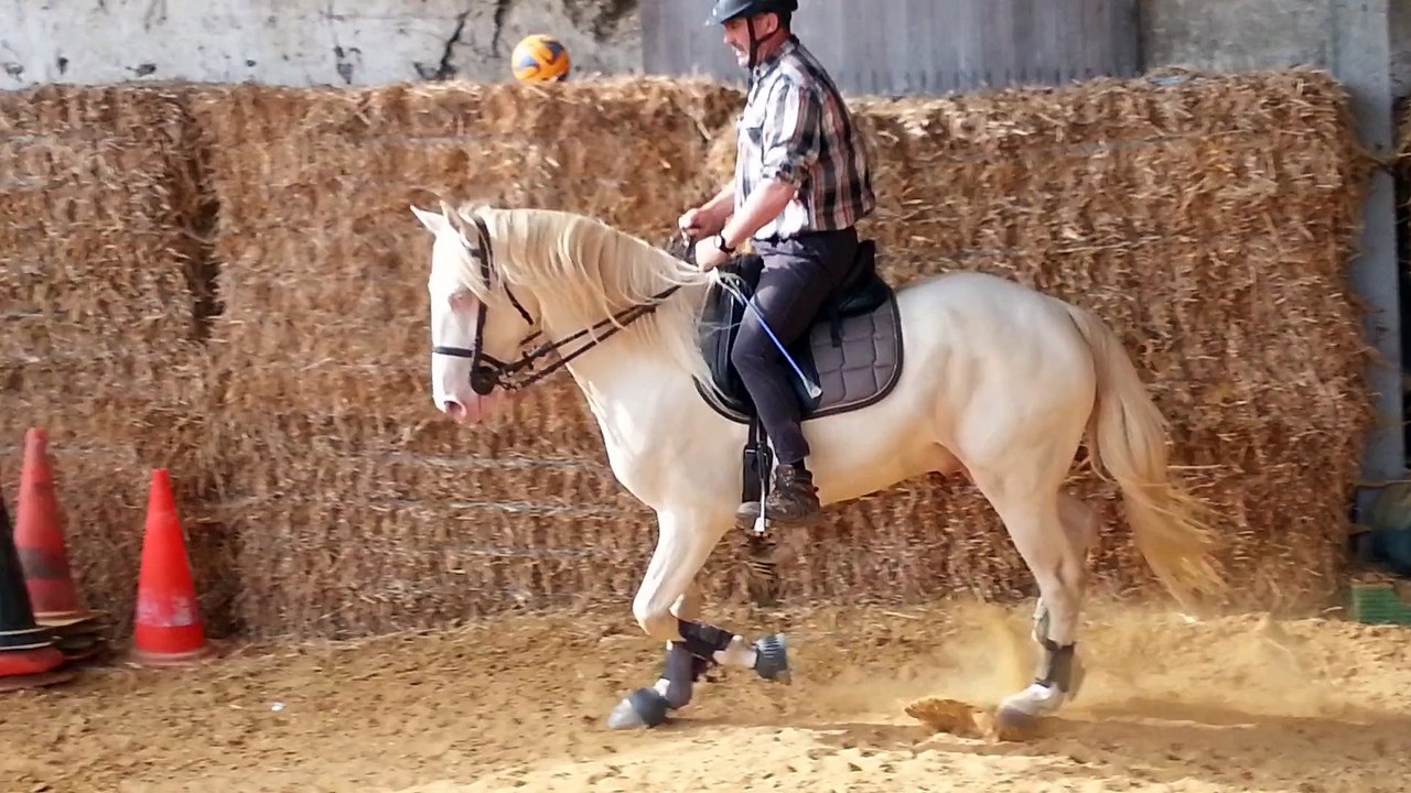 ice au trot aux 2mains juin 2015