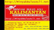 0821-4800-0950 (Telkomsel) Kegunaan Minyak Bulus, Efek Minyak Bulus, Minyak Lintah