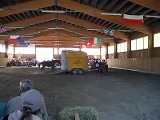 Bernd's spezielles Verladetraining