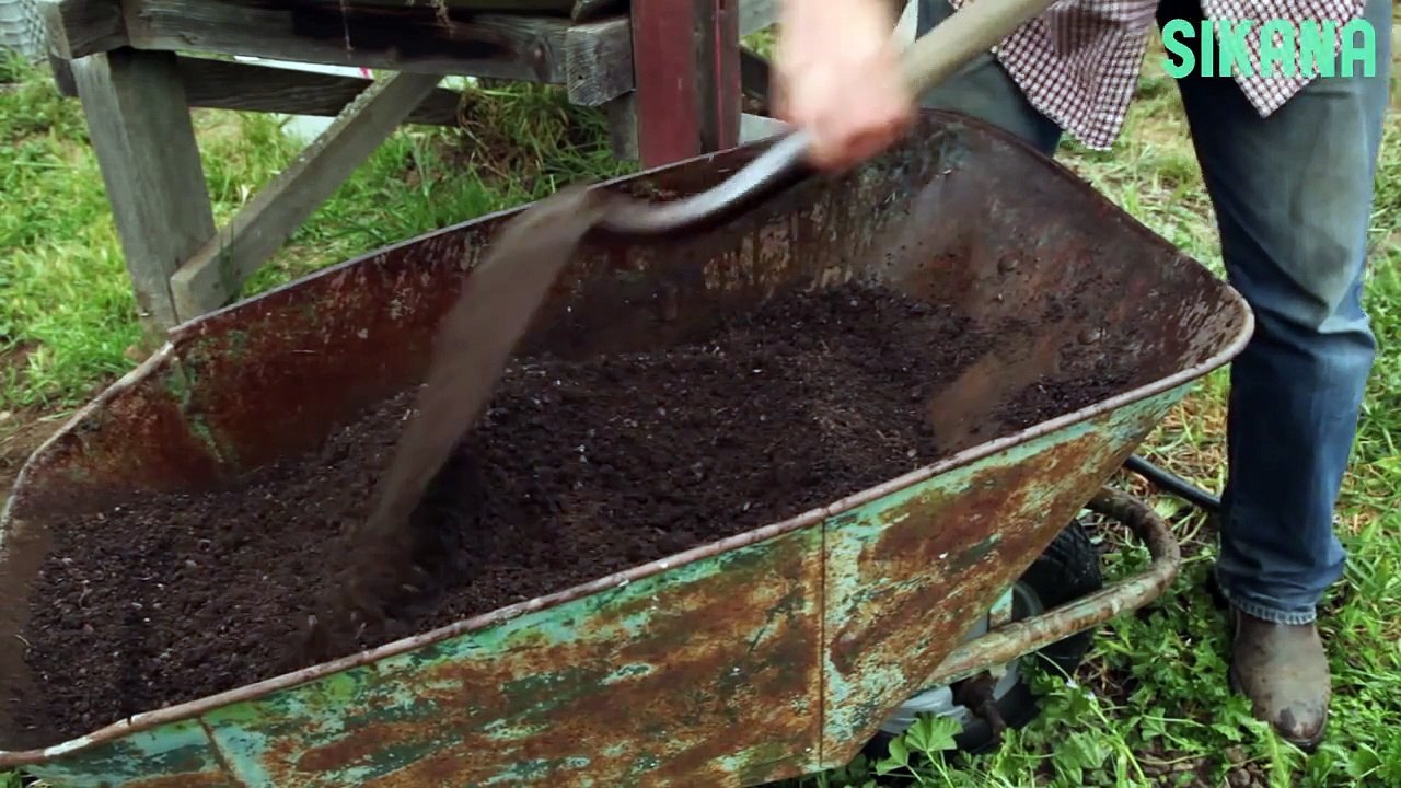 Comment faire du terreau à semis