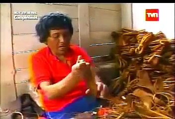 MATANZAS / Frutos del país TVN 2006 /  Martín - Wedeles - Escuela de Surf - Surfistas de paso