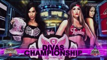 WWE RAW 11.17.14 Brie Bella vs. Nikki Bella (720p)