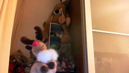 Wiwi muppetshowise "behave yourself" de Booker T & The MG'S