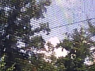 EL TIGRE CANTA MÚSICA CRISTIANA