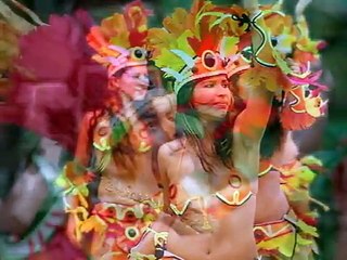 Índio do Brasil - David Assayag (Música Indigena Brasileira)