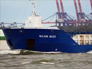 Muller 26 11 2013 CFL PERFECT