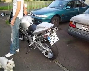 Suzuki SV 1000 S mit IXIL Underseat Auspuffanlage