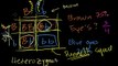 Learn Chemstry Online ~ Punnett Square Fun