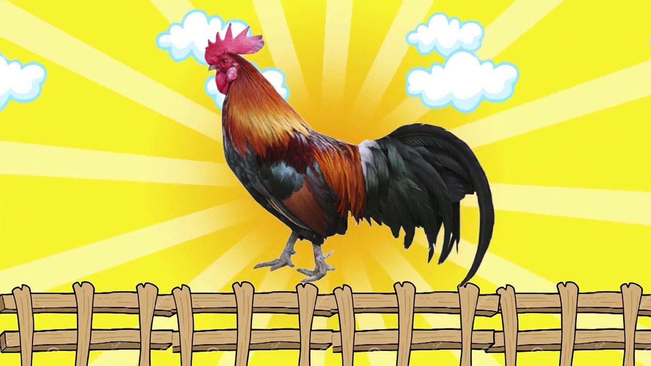 Sonidos onomatopeyicos de animales