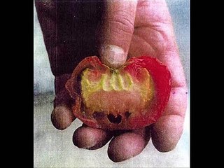 Zain Bhikha - Allah hu Allah