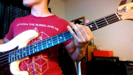 lil b - chocolate rain (bass cover)