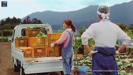いいなCM　スズキ　キャリィ　菅原文太 はるな愛 北斗晶　2本