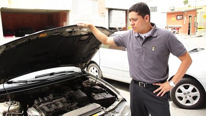 Cambiar Bombillos (luces) - en español