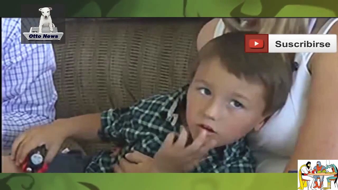 Gata salva niño de violento ataque de un perro