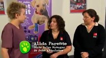 St John's, Pet First Aid Kit - All About Animals TV Show