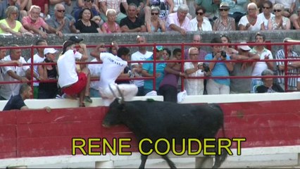 Arènes de  Beaucaire 1 ère journée de la Palme d or .RENE COUDERT