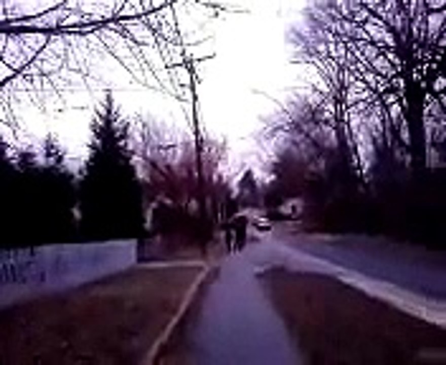 Boy's pants fall down while carrying christmas tree