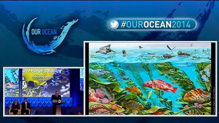 Our Ocean Conference: Ocean Acidification