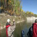 Pike Fly Fishing on the North Saskatchewan River